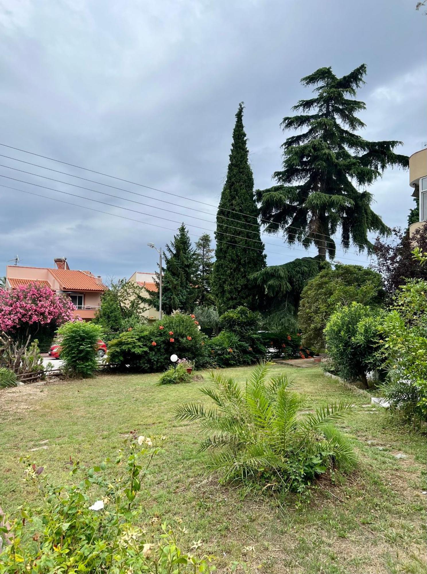 Anemos Apartment Palio PalaiónTsiflíkion Dış mekan fotoğraf