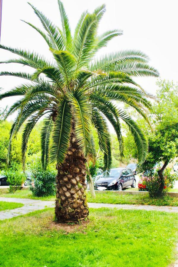 Anemos Apartment Palio PalaiónTsiflíkion Dış mekan fotoğraf